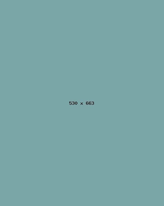 Sony VAIO